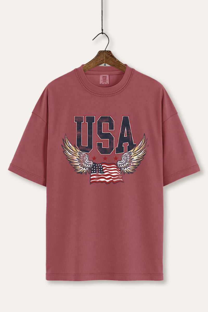 USA Flag Wings Of Freedom Graphic Women's Comfort Tee