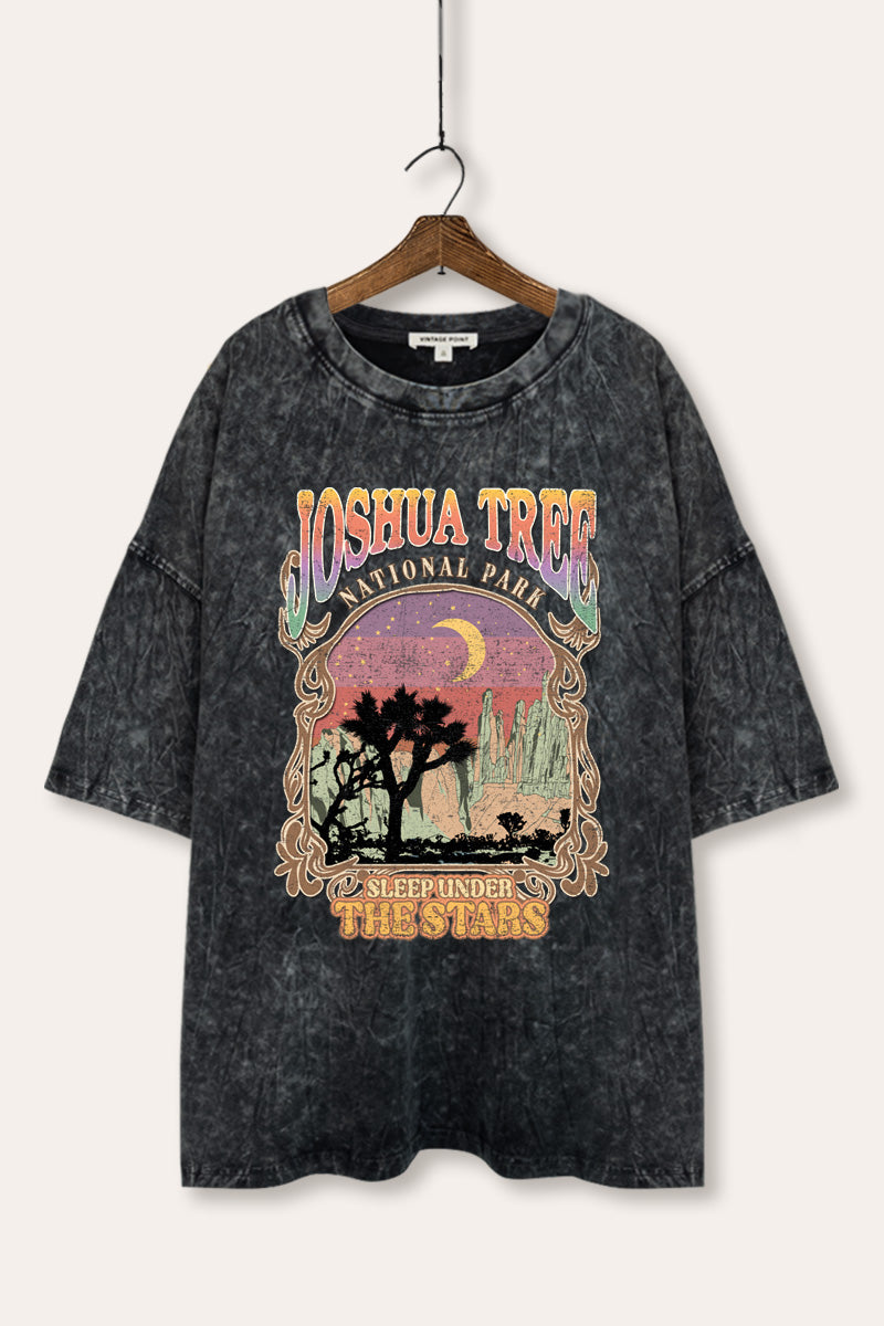 mineral wash oversized joshua tree graphic tee