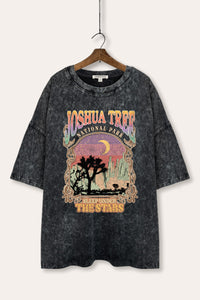 mineral wash oversized joshua tree graphic tee