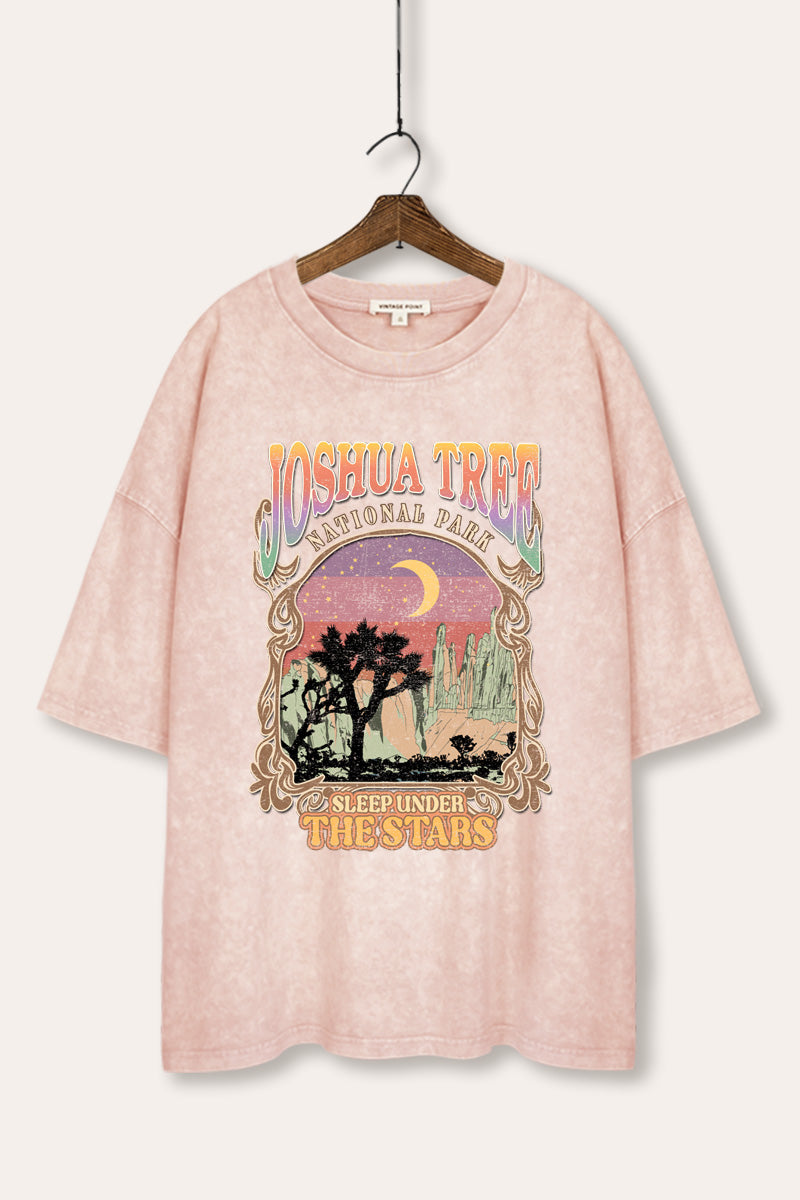 mineral wash oversized joshua tree graphic tee