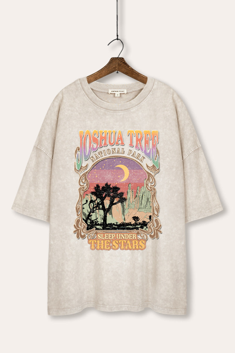 mineral wash oversized joshua tree graphic tee