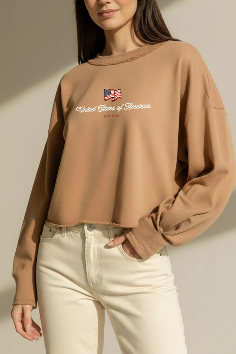 United States Of America Flag Graphic Cropped Sweatshirt