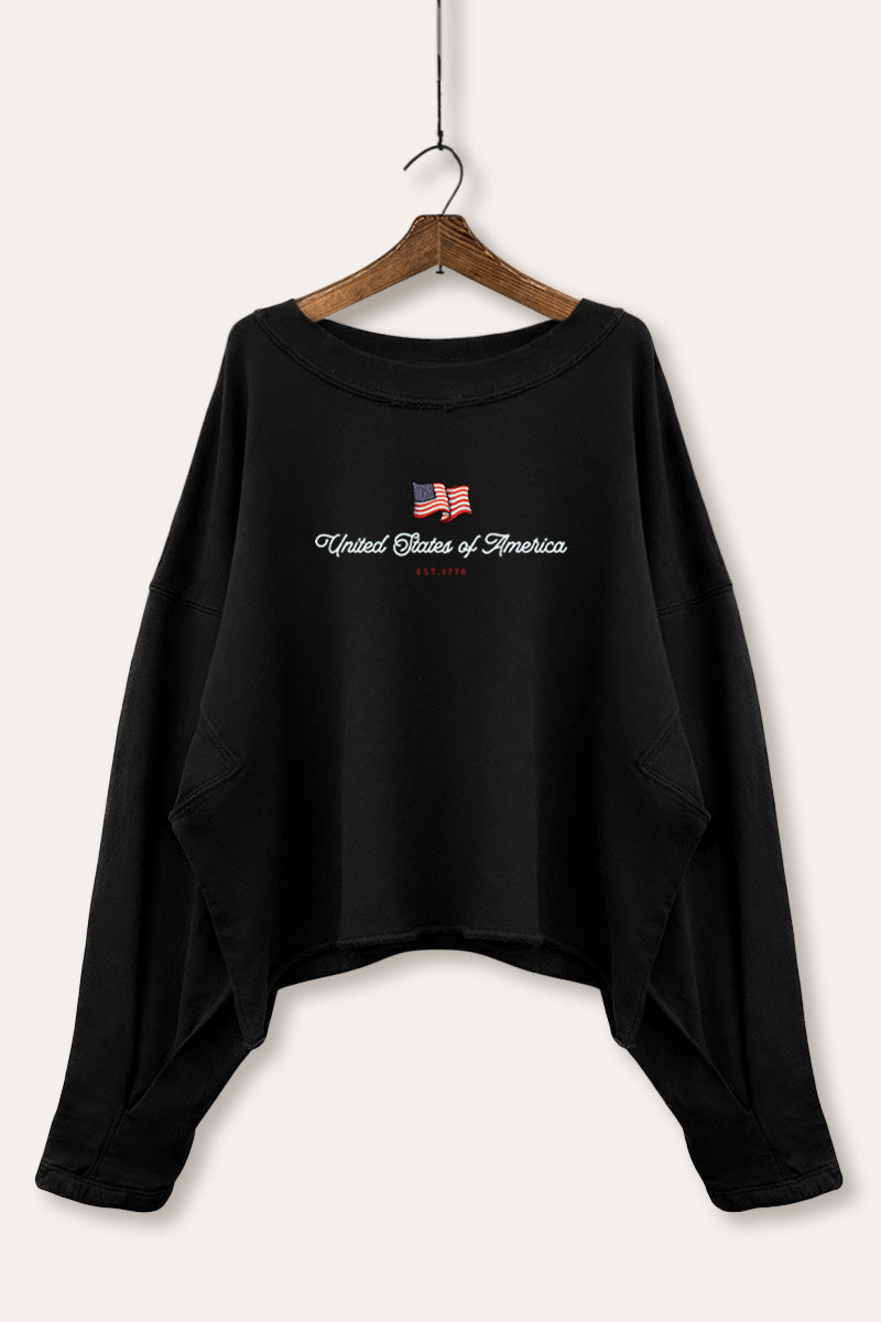 United States Of America Flag Graphic Cropped Sweatshirt
