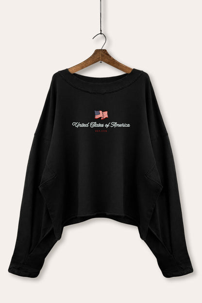 United States Of America Flag Graphic Cropped Sweatshirt