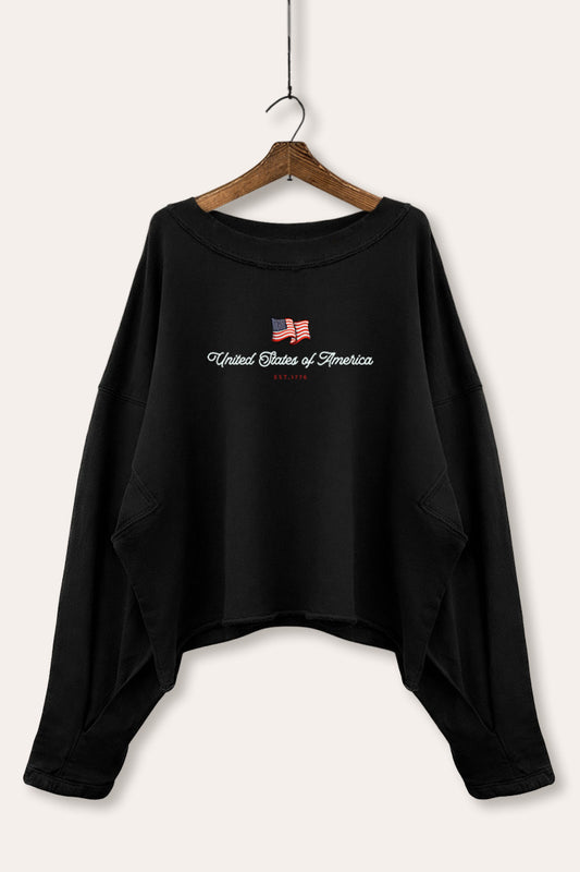 United States Of America Flag Graphic Cropped Sweatshirt