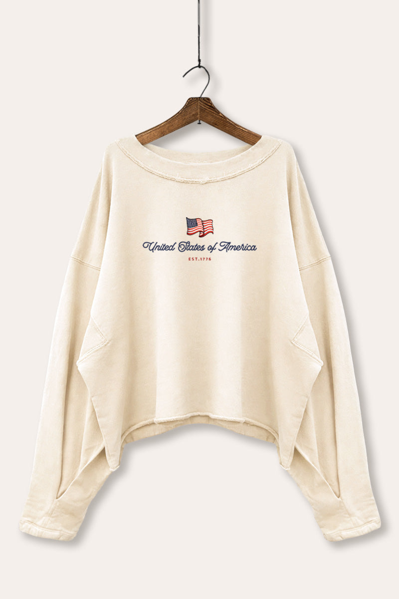 United States Of America Flag Graphic Cropped Sweatshirt