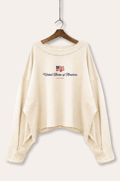 United States Of America Flag Graphic Cropped Sweatshirt