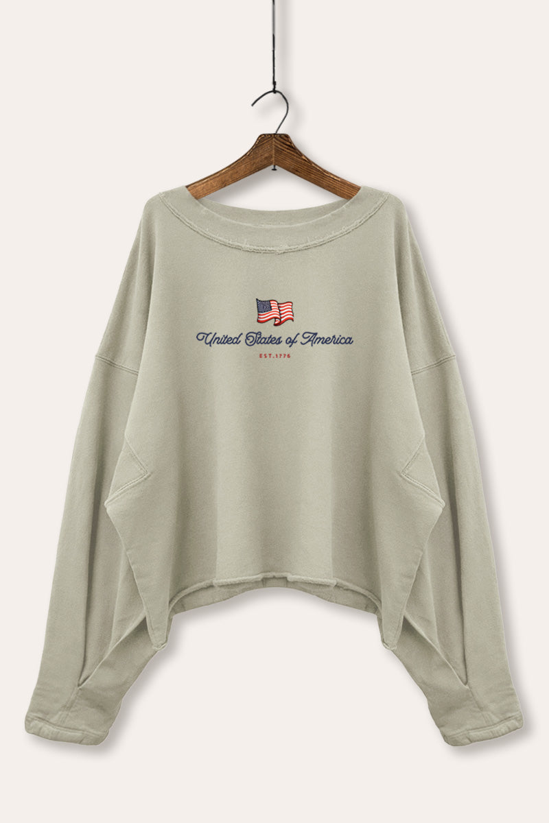 United States Of America Flag Graphic Cropped Sweatshirt