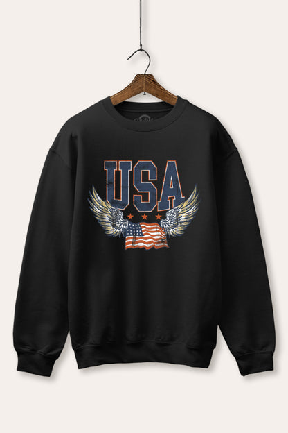USA Flag Wings Of Freedom Graphic Fleece Sweatshirt