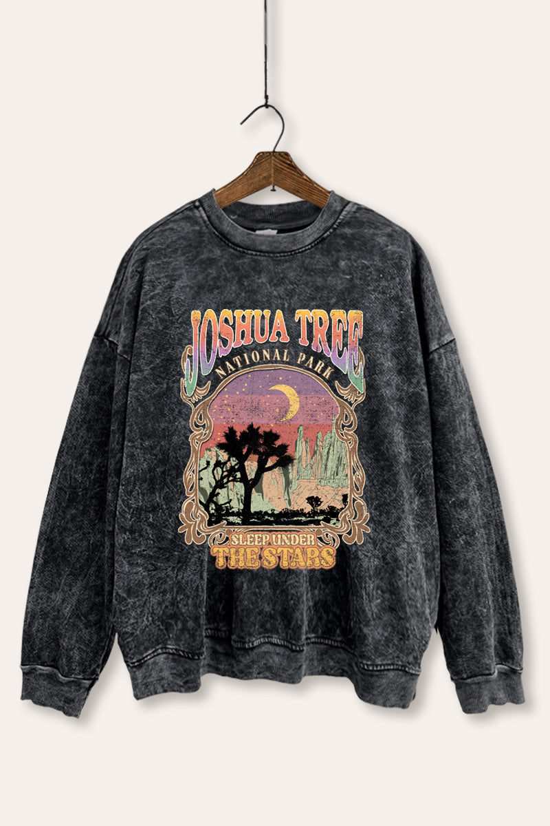 Joshua Tree Desert Stars Graphic Mineral Wash Sweatshirt