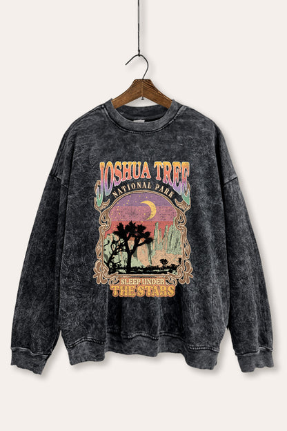 Joshua Tree Desert Stars Graphic Mineral Wash Sweatshirt