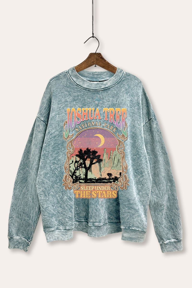 Joshua Tree Desert Stars Graphic Mineral Wash Sweatshirt