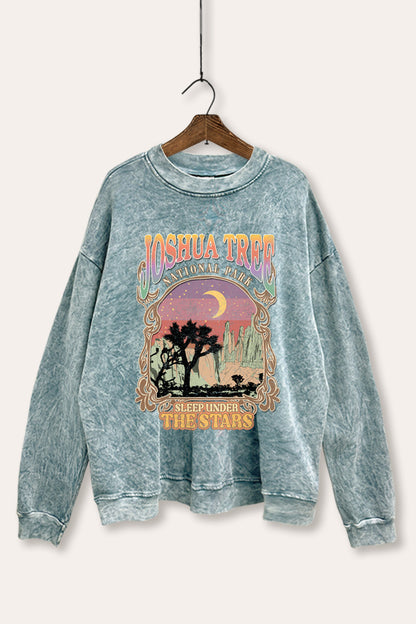 Joshua Tree Desert Stars Graphic Mineral Wash Sweatshirt
