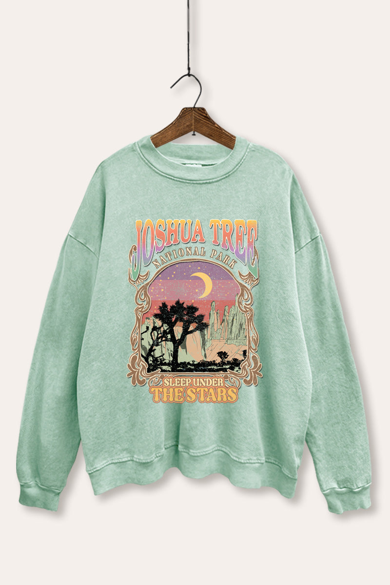Joshua Tree Desert Stars Graphic Mineral Wash Sweatshirt