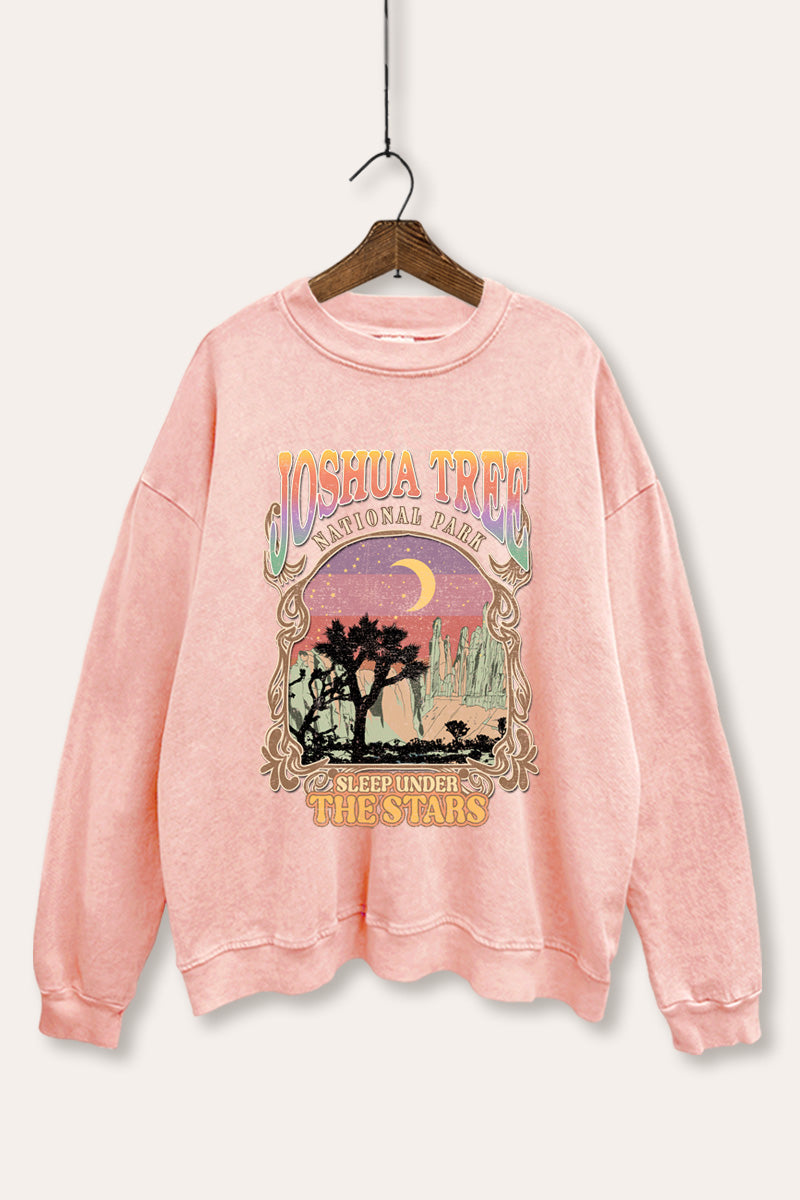 Joshua Tree Desert Stars Graphic Mineral Wash Sweatshirt