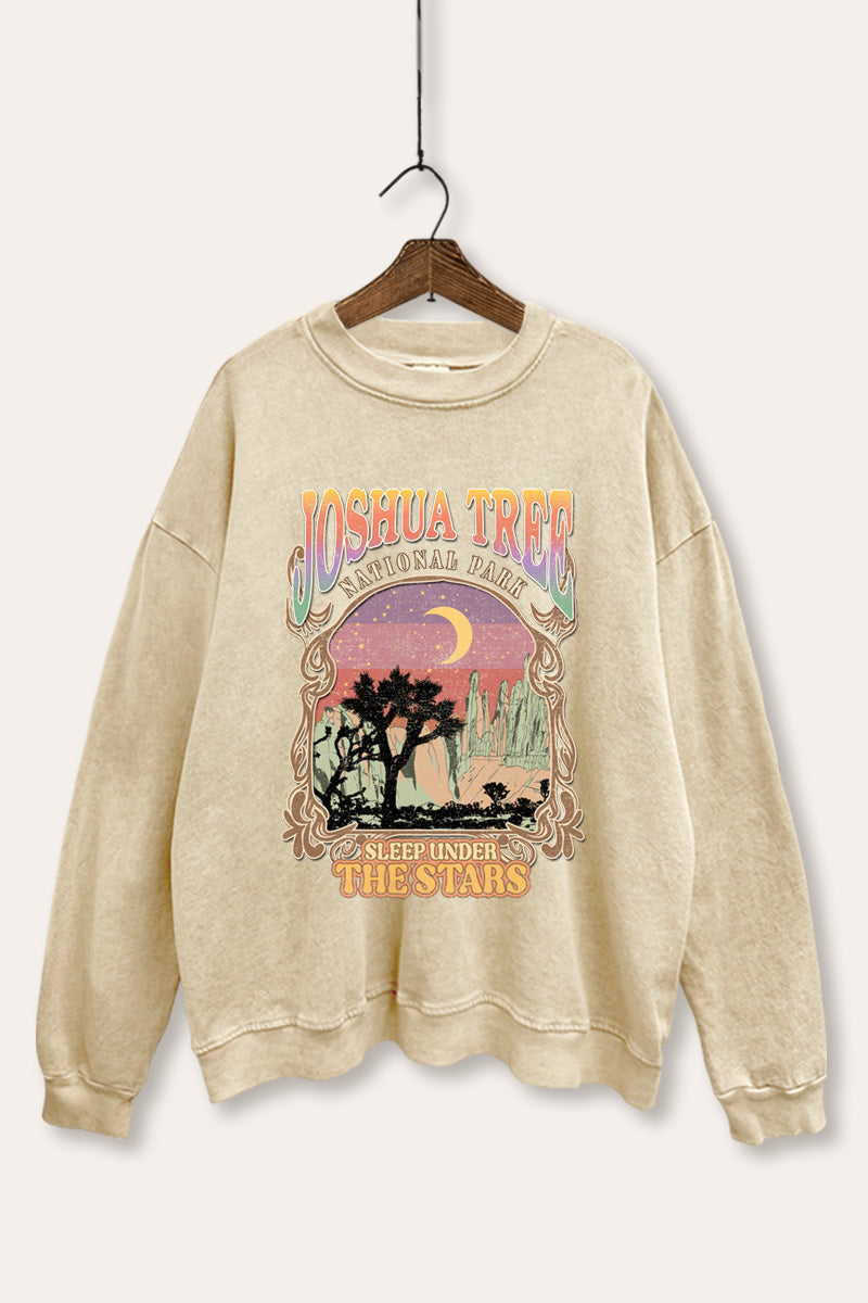 Joshua Tree Desert Stars Graphic Mineral Wash Sweatshirt