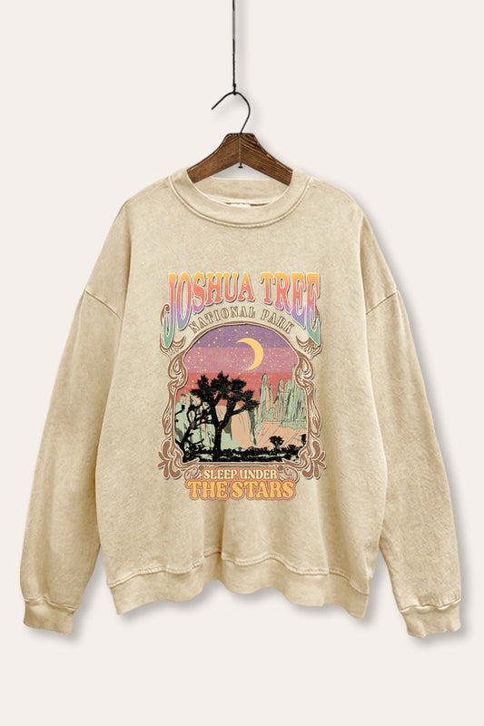joshua tree mineral wash graphic sweatshirt