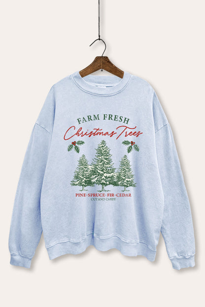 Christmas Tree Farm Fresh Graphic Mineral Wash Sweatshirt