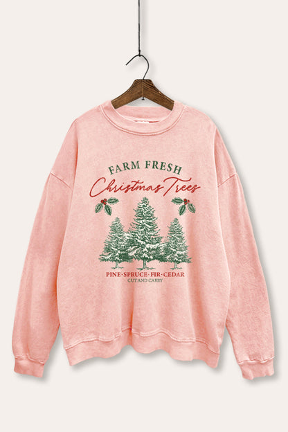 Christmas Tree Farm Fresh Graphic Mineral Wash Sweatshirt