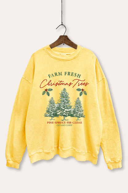 Christmas Tree Farm Fresh Graphic Mineral Wash Sweatshirt