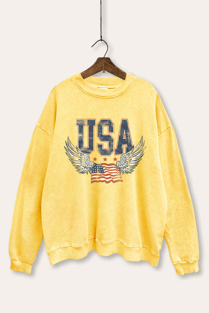 Vintage USA Winged Flag Graphic Mineral Wash Sweatshirt