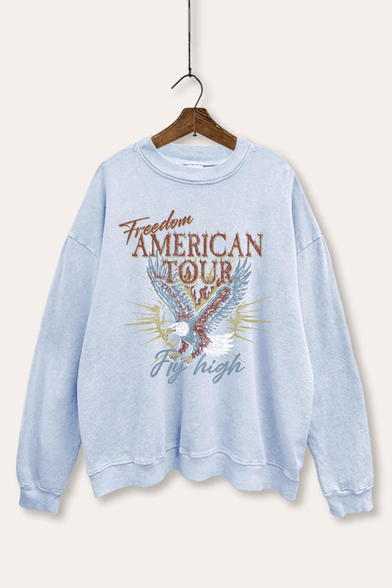 bald eagle "freedom" graphic mineral wash sweatshirt