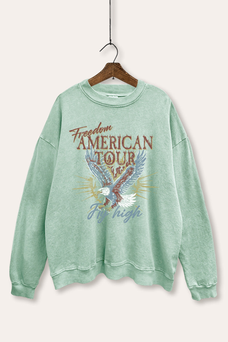 bald eagle "freedom" graphic mineral wash sweatshirt