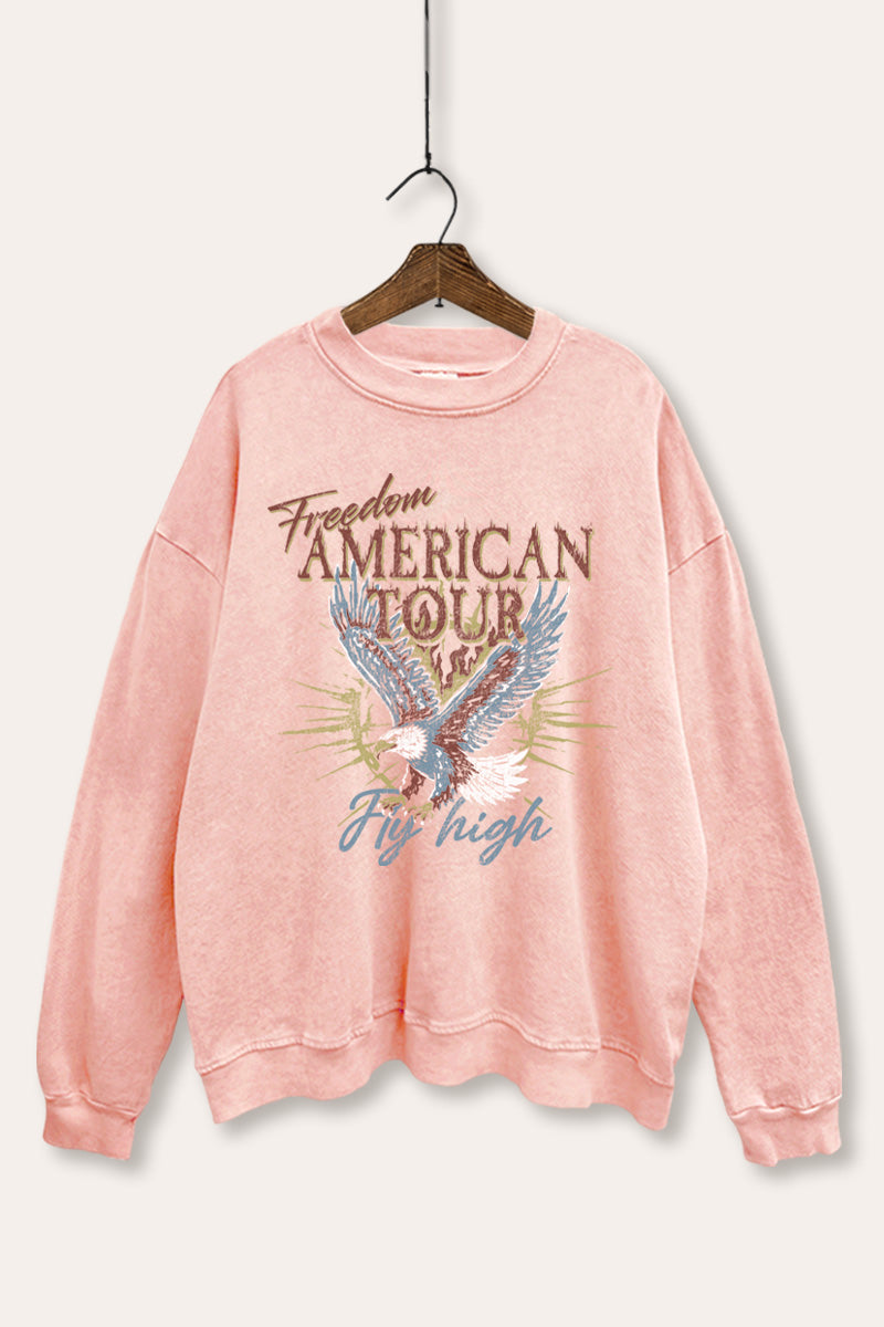 bald eagle "freedom" graphic mineral wash sweatshirt