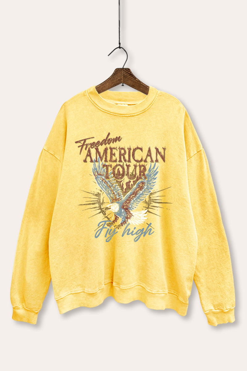 bald eagle "freedom" graphic mineral wash sweatshirt