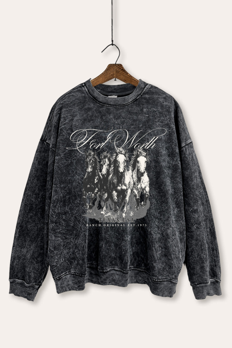 Fort Worth Texas Horses Graphic Mineral Wash Sweatshirt