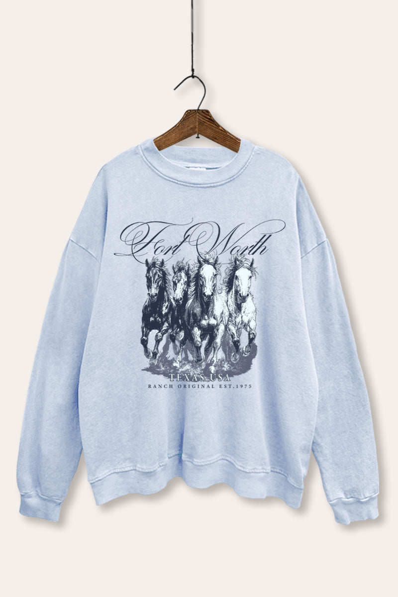 Fort Worth Texas Horses Graphic Mineral Wash Sweatshirt