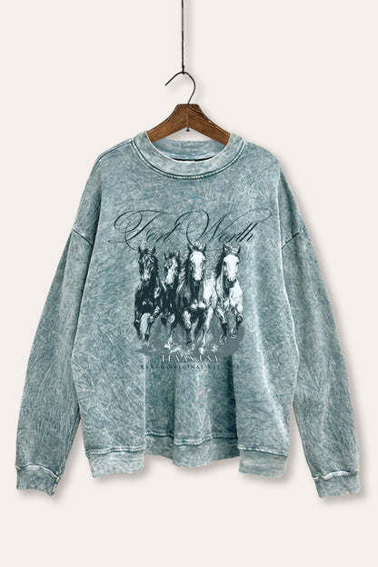 Fort Worth Texas Horses Graphic Mineral Wash Sweatshirt