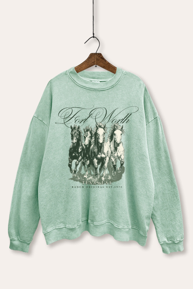 Fort Worth Texas Horses Graphic Mineral Wash Sweatshirt