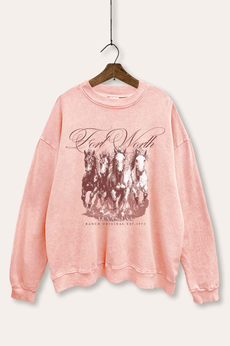 Fort Worth Texas Horses Graphic Mineral Wash Sweatshirt