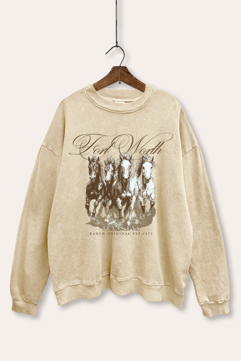 Fort Worth Texas Horses Graphic Mineral Wash Sweatshirt