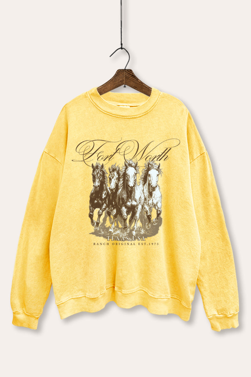 Fort Worth Texas Horses Graphic Mineral Wash Sweatshirt