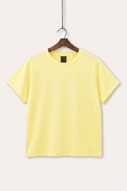 Blank Garment Dyed Tee