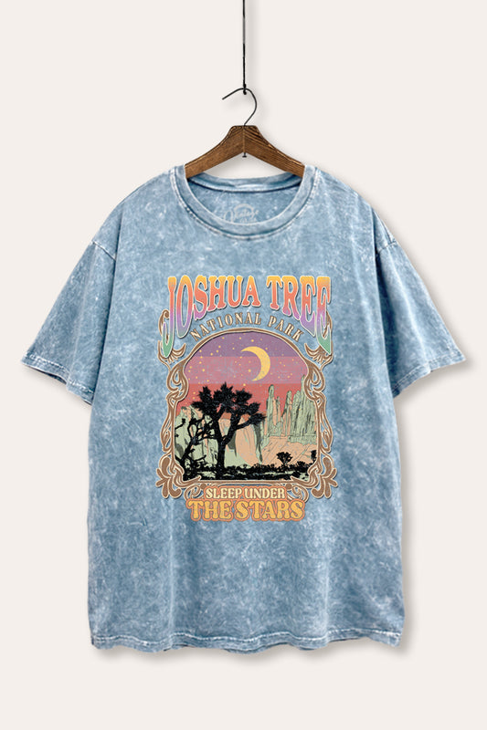 Joshua Tree Desert Stars Graphic Mineral Wash Boxy Tee