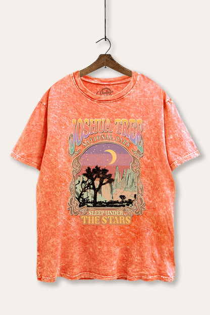 Joshua Tree Desert Stars Graphic Mineral Wash Boxy Tee