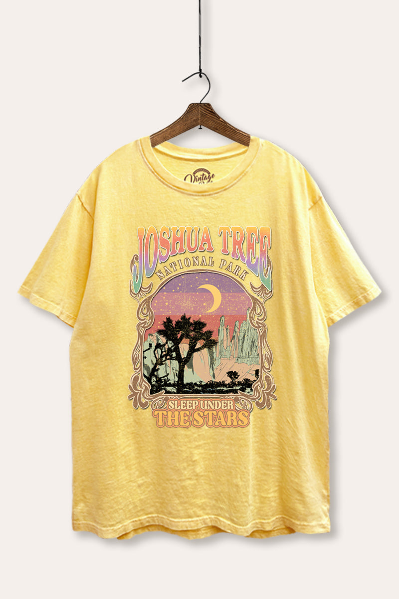 Joshua Tree Desert Stars Graphic Mineral Wash Boxy Tee