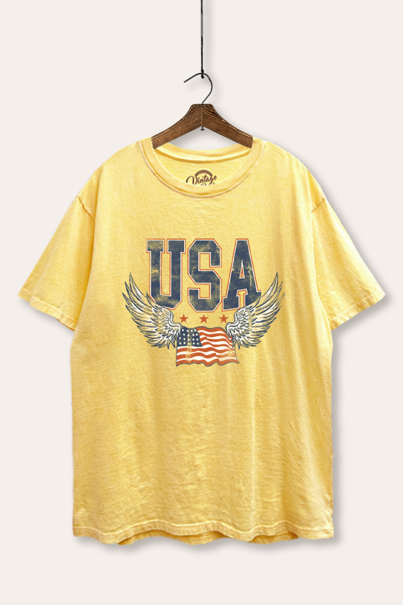 USA Flag Wings Of Freedom Graphic Mineral Wash Boxy Tee