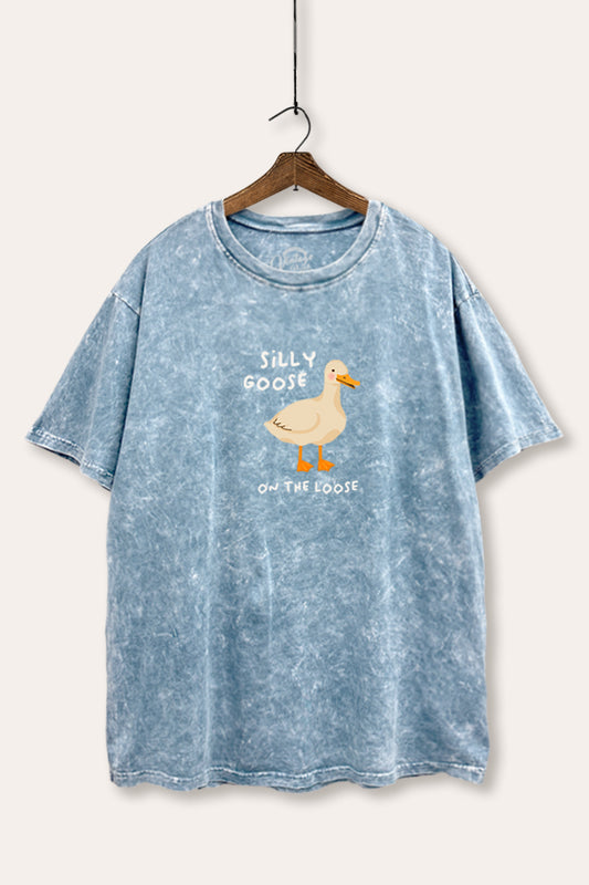 Silly Goose Pastel Graphic Mineral Wash Boxy Tee