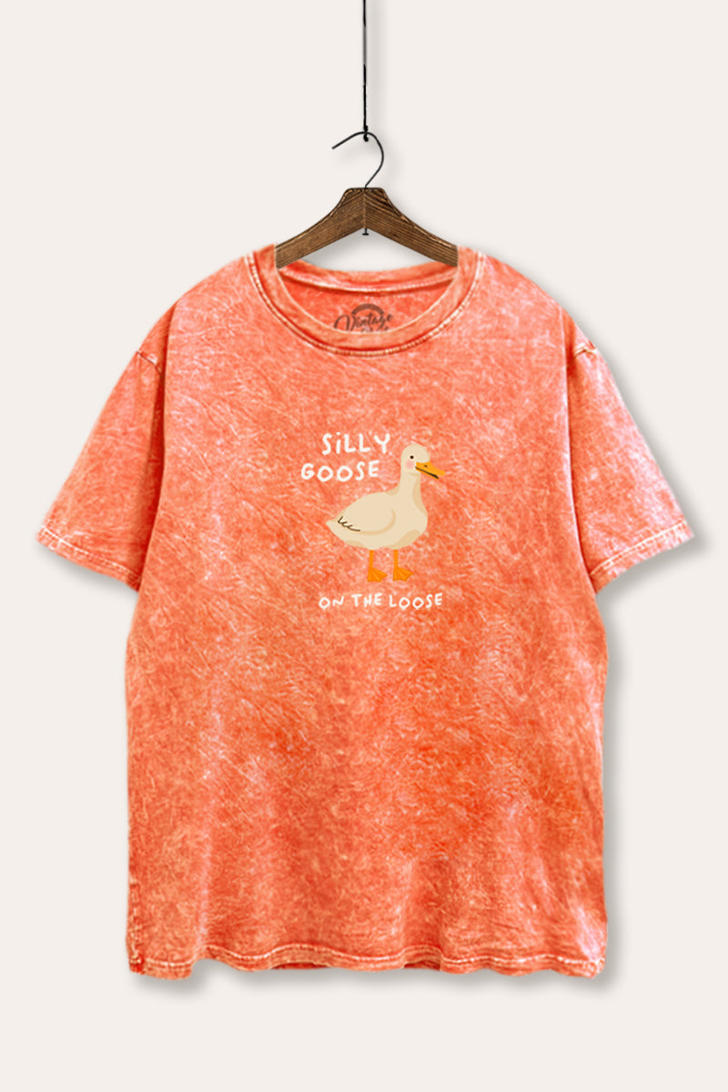 Silly Goose Pastel Graphic Mineral Wash Boxy Tee