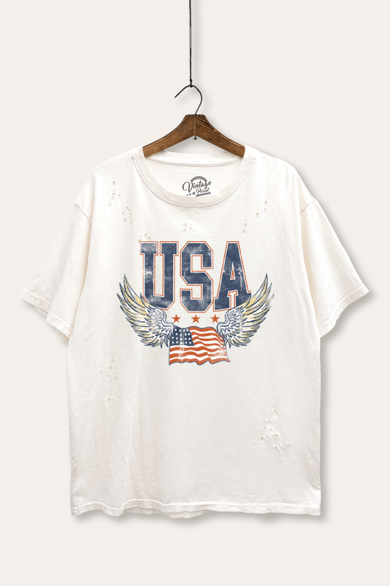 USA Flag Wings Of Freedom Graphic Mineral Wash Distress Tee