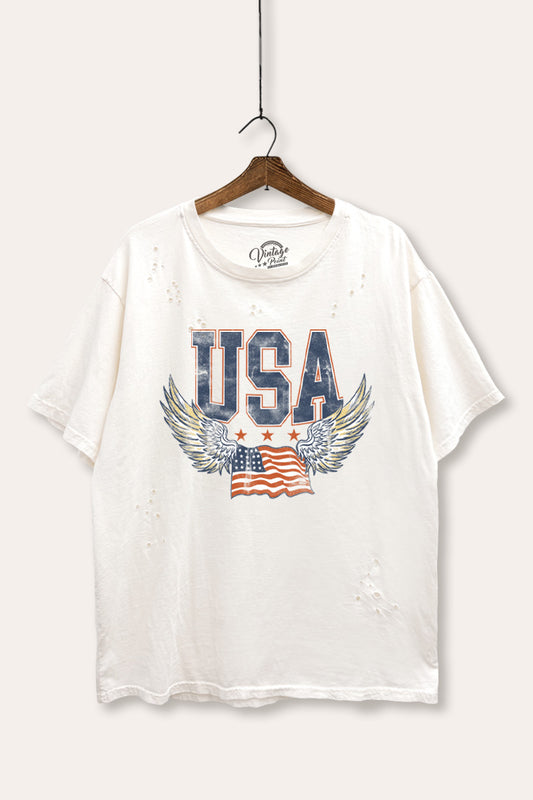 usa "wings of freedom" graphic mineral wash laser distress tee