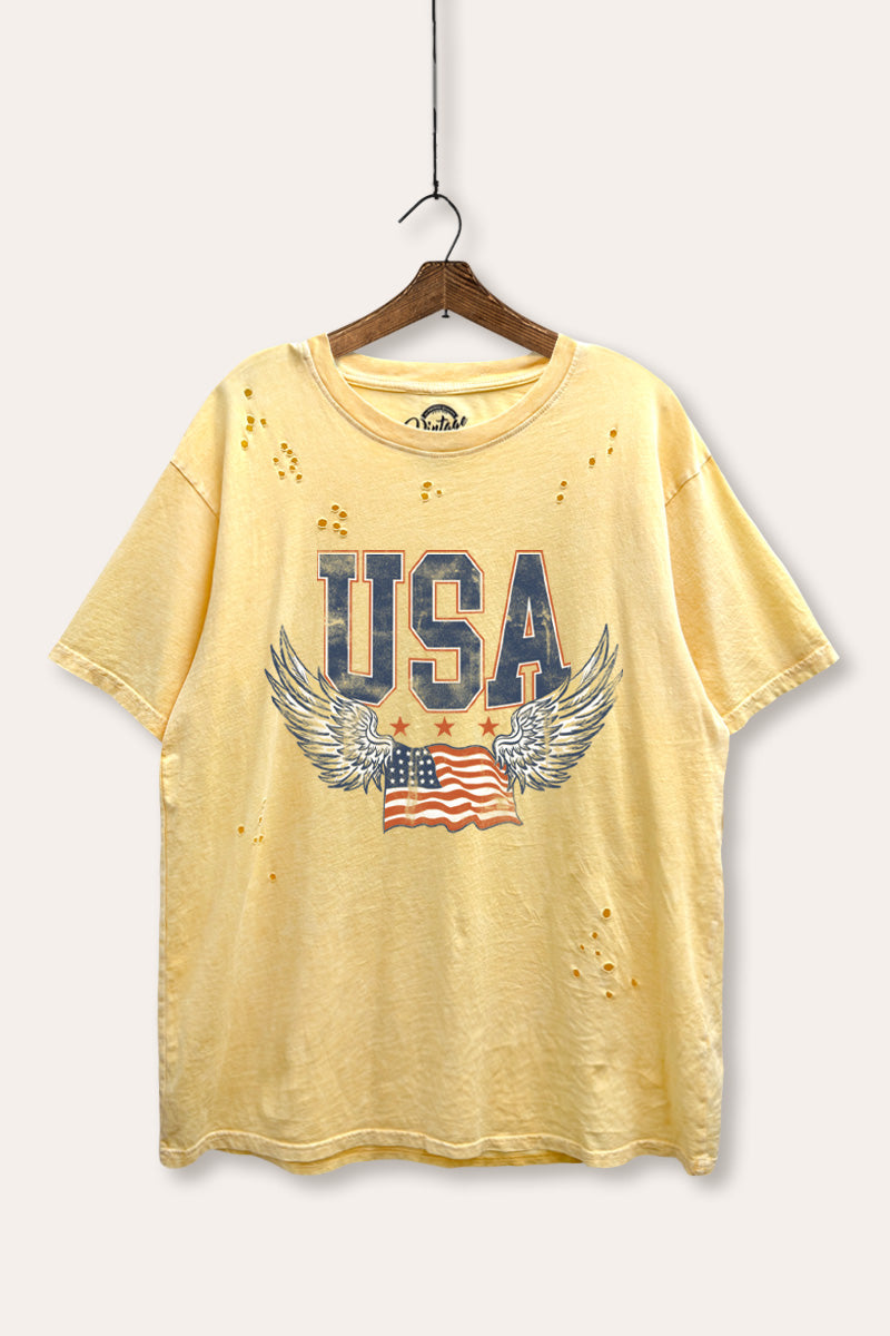 USA Flag Wings Of Freedom Graphic Mineral Wash Distress Tee