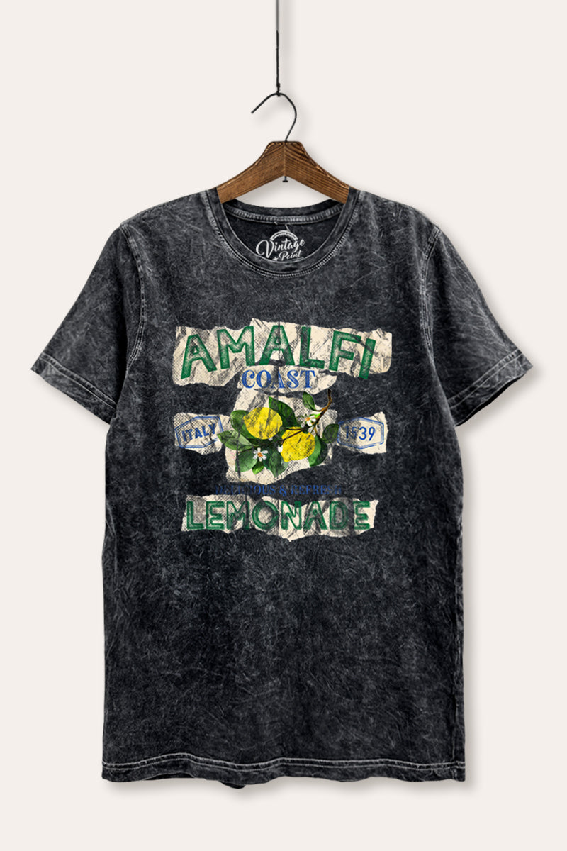 Amalfi Coast Lemon Fruit Graphic Mineral Wash Relaxed Tee
