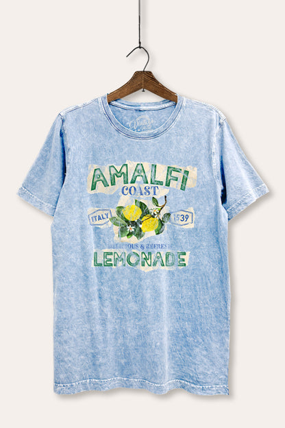 Amalfi Coast Lemon Fruit Graphic Mineral Wash Relaxed Tee
