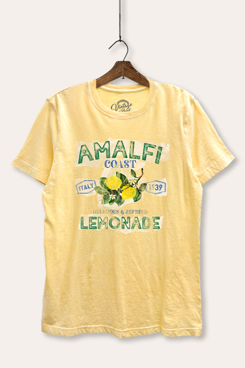 Amalfi Coast Lemon Fruit Graphic Mineral Wash Relaxed Tee