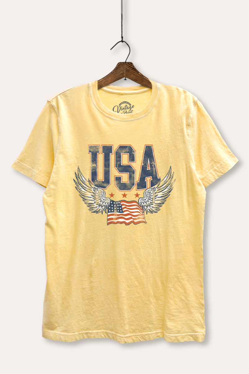 USA Flag Wings Of Freedom Graphic Mineral Wash Relaxed Tee